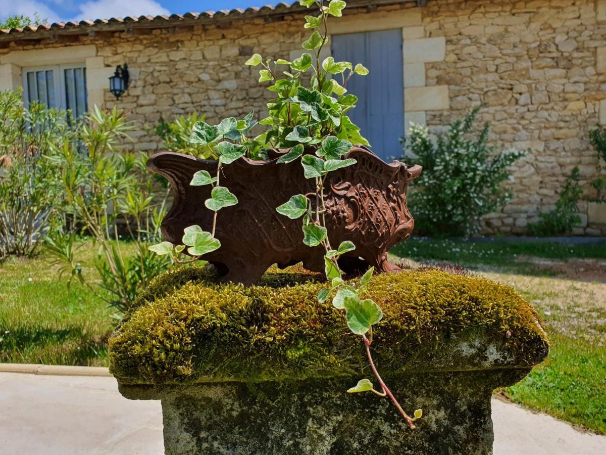 Le Clos Reaud Blaye Exteriör bild